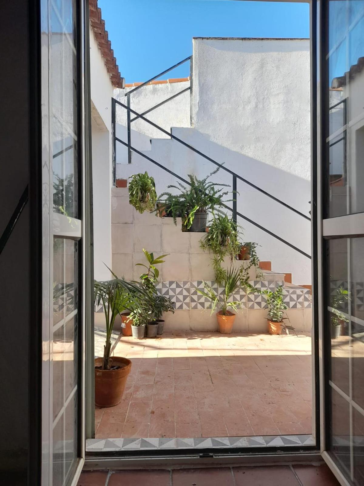 Oliva Sanlúcar la Mayor